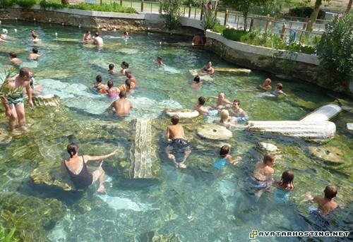 64x64 avatar insects invertebrates avatar online  03