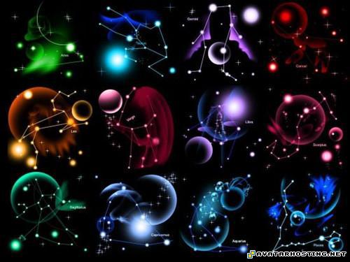 mammals insects avatar 319 free online picture hosting  0508