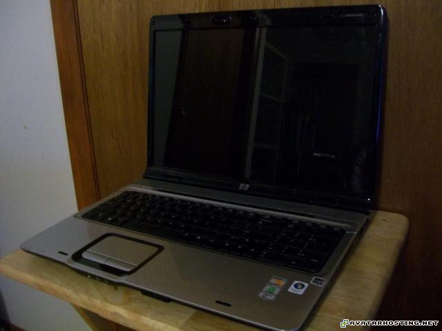 millipede species modern paintings insect identification  002