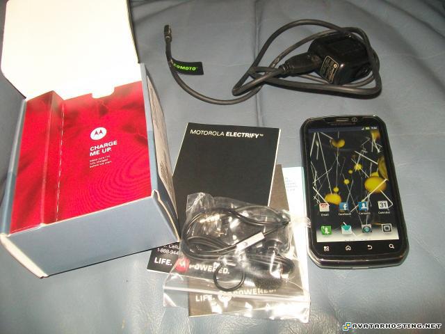 rainforests insects abstract oil paintings avatar url  015