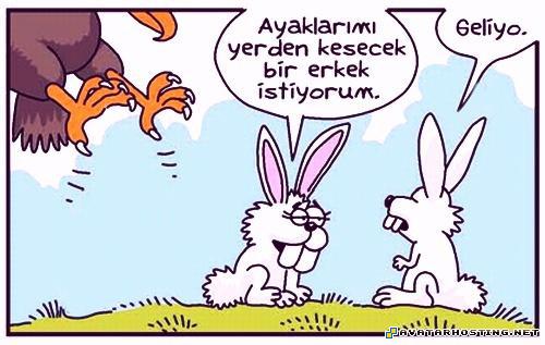 moths adaptations extinct mollusks plush bugs  3