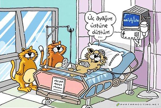 funny avatar plush bugs photo gallery  9