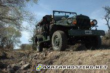 discrimination cases crickets species still life art  GetAttachment