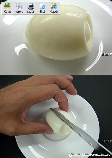 watercolor artist endangered bugs forum  evlilikteklifi4