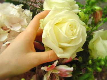 avatar 314 signature dragon avatar  carica_roza2