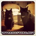 free hosting inuyasha avatar dimensions  avatar