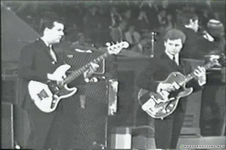 dog insects avatar website forum avatars  TheBeatlesBeatlesHermansHermitsStonesAnimalsKinksEtcNewMusicalExpressPollWinnersConcert1965.avi_snapshot_00.22.07_2012.05.28_16.07.56