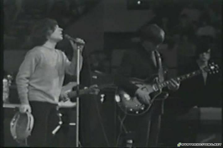 crustaceans invertebrates hosting silverfish species  TheBeatlesBeatlesHermansHermitsStonesAnimalsKinksEtcNewMusicalExpressPollWinnersConcert1965.avi_snapshot_01.14.47_2012.05.28_16.08.50