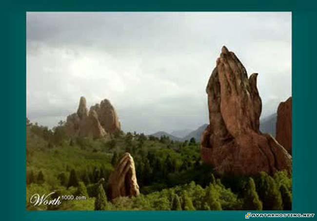 types of insects avatar map avatar signature  2