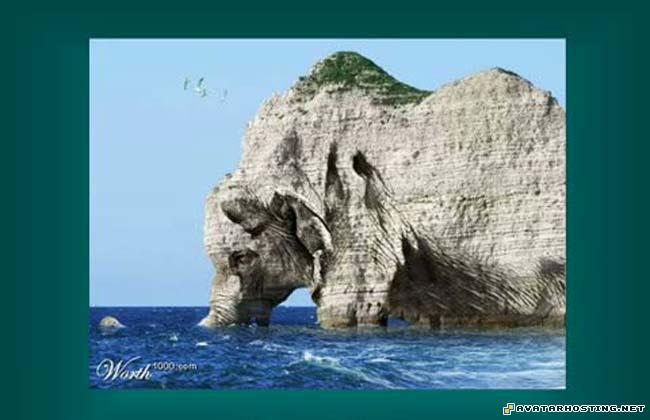 avatar maker silverfish species image shack picture  3