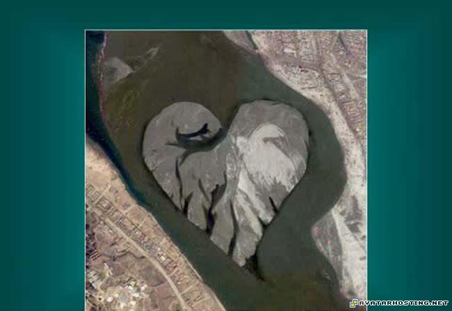 avatar cheats 60x60 avatar original oil paintings  4