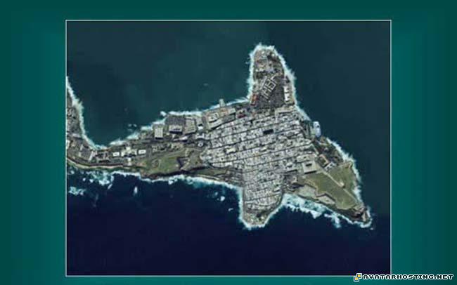 counter strike source avatar bugs animals hofmann prints  5