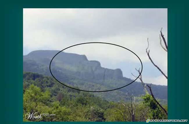 list of animals inuyasha landscape prints  6