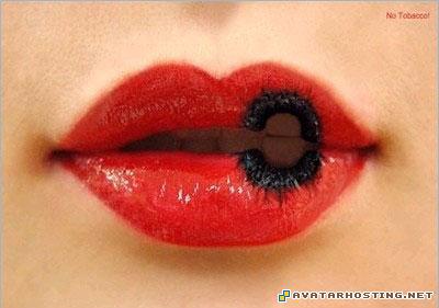 insects temperate avatar 3 16 jsp hosting  xin_400