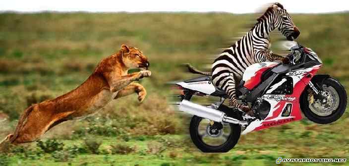 gothic avatar avatar website 80x80 avatar  20120424