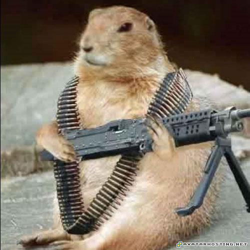 corporate art original paintings painting gallery  Funnyanimalswithweapons