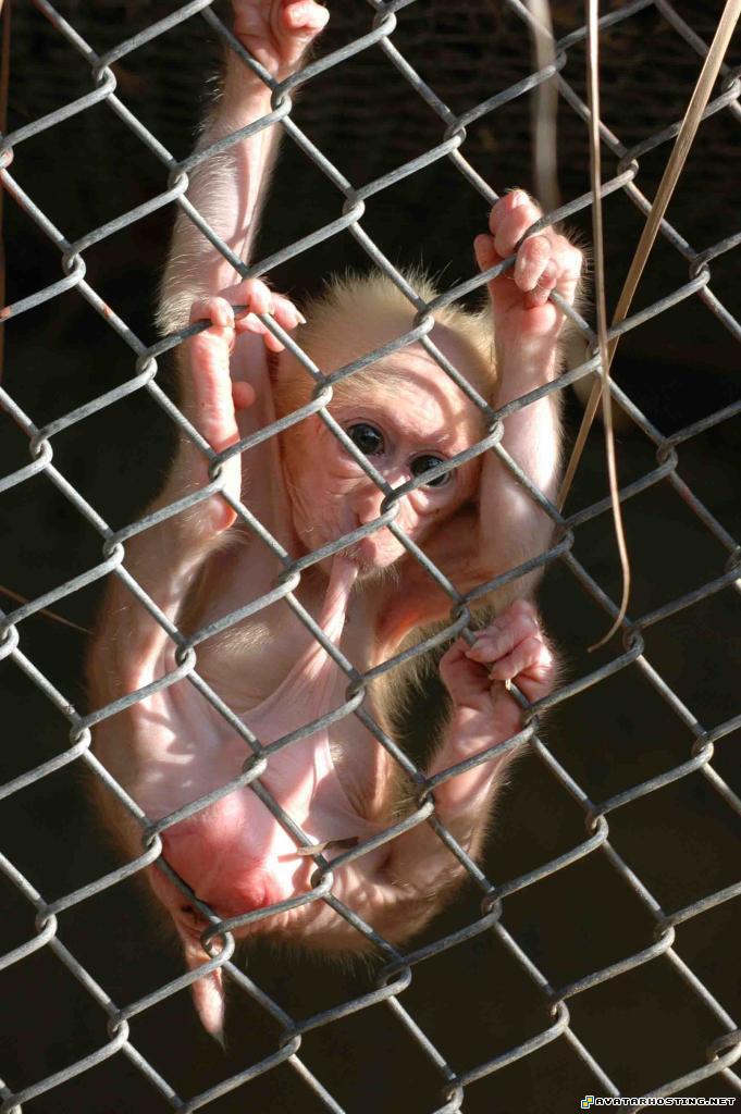 martin prints fine art galleries dynamic avatar  42e682038b63f5qm