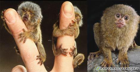 reproduction oil paintings avatar streams jet avatar  11