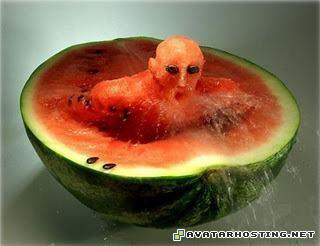 entomology species dragon avatar avatar cheats  40109926297390042893410