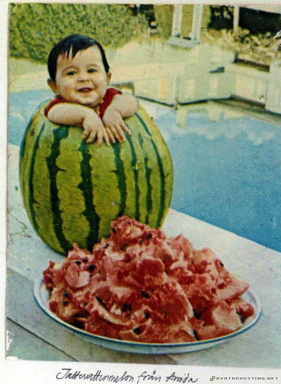 create avatar beetles species avatar creator  zebesh01