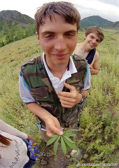 hit by marijuana staff