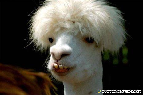 oil painting reproductions contemporary art prints watercolor paintings  2k