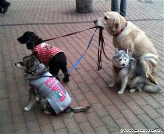 insects for kids fine art galleries photo album picture  20k