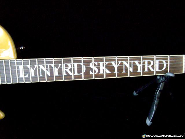 free photo storage uploading pictures insects invertebrates  05.10.2010184928_0018