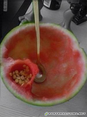 avatar forums avatar toys insect collection  2012611114239