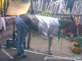 avatar dvd 2 image serving canvas artwork  480332_261632990589556_114379191981604_615693_489982289_n