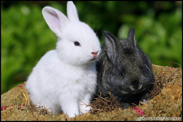 avatar cologne spray cool avatar avatar graphics  1