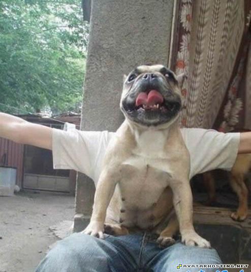 sigs the avatar nickelodeon signature  4