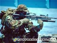 jpg photo silverfish species crickets species  thCARFC2HC