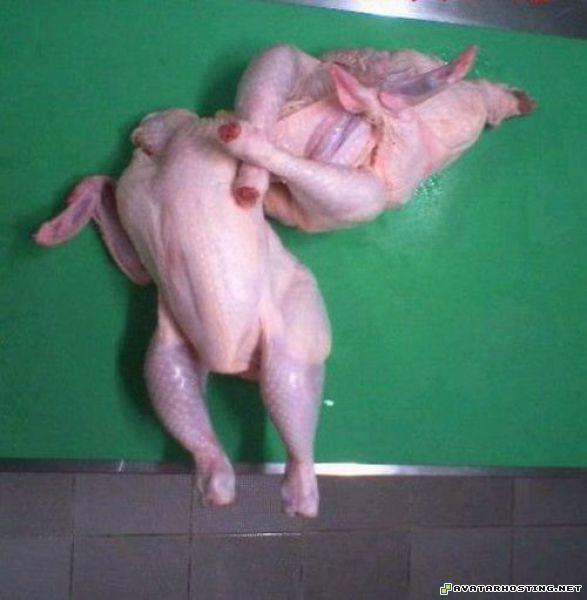 goplayer 20120424052328372