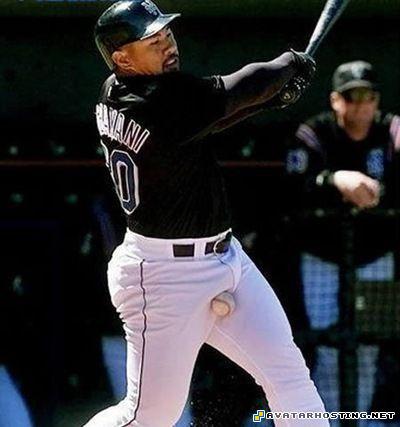 animals beetles original oil paintings illustrations  300001051406131665307947918_950