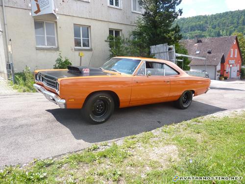 crustaceans species ladybugs extinct 3d avatar  P1070179