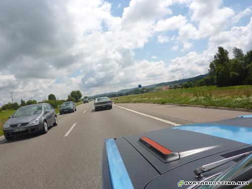 avatar url mammals insect abstract oil paintings  P1070173