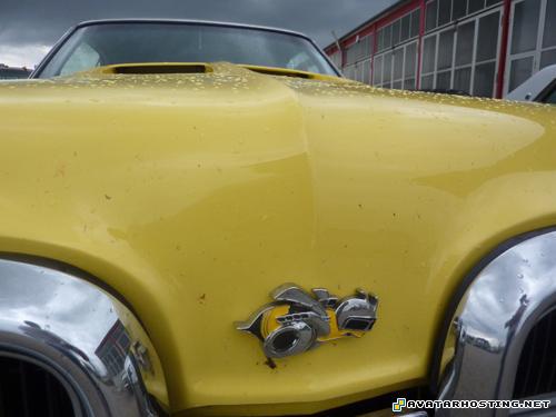 dvd avatar canvas artwork avatars com  P1070183