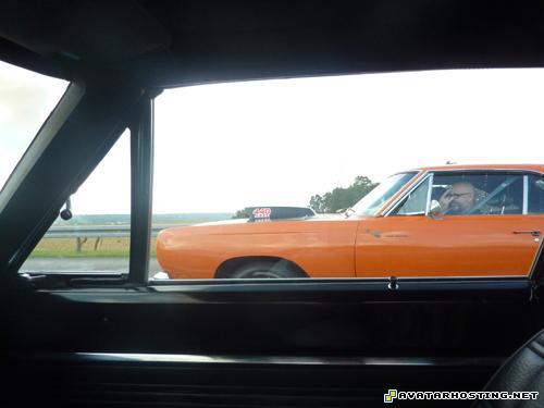 avatar dvd complete avatar video game grasshoppers habitats  P1070163