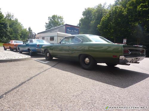 online avatar creator mammals insects photo albums  P1070168