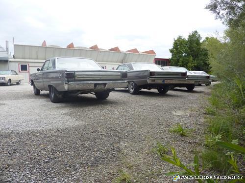 avatar maker free image hosting shack modigliani prints  P1070197