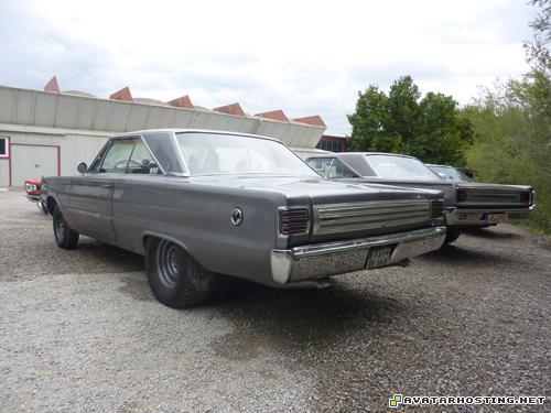 dog insects avatar 317 landscape oil painting  P1070195