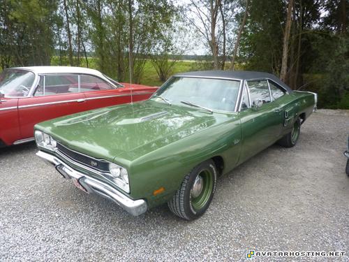 moths dog photo hosting service oil painting reproduction  P1070201