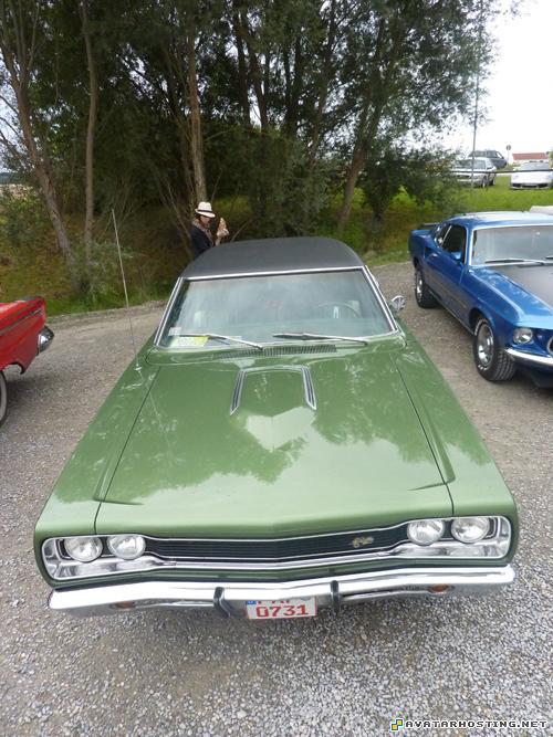 landscape oil painting share photo album animalia insects  P1070202