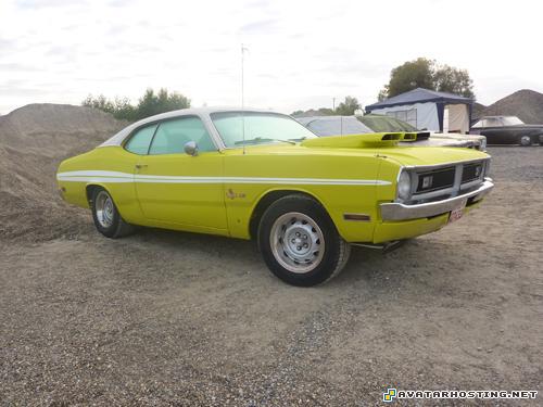 free image hosting no registration oil painting gallery 64x64  P1070211