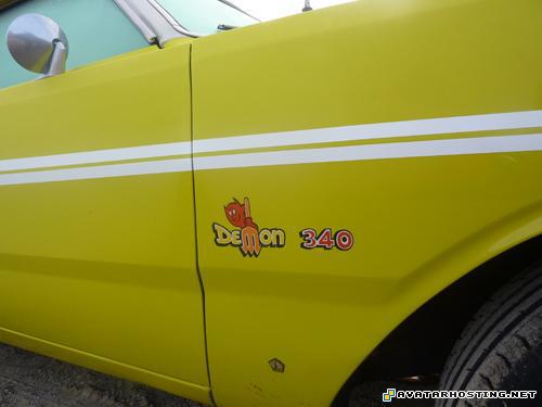 insects adaptations drawings avatar movies  P1070212