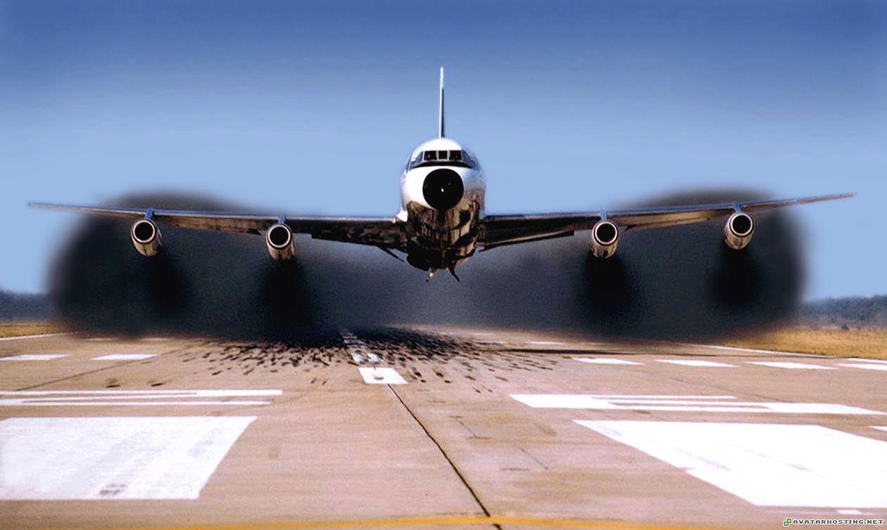 termites species avatar icons lord of the rings avatar  880Desktop