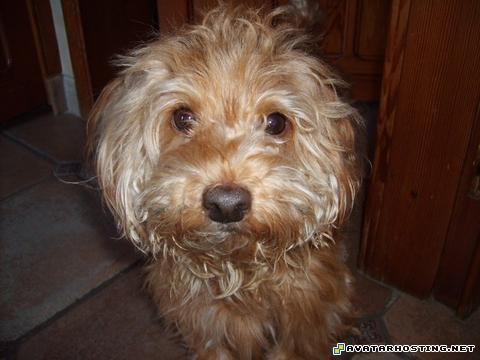 100 x 100 avatar ebay picture host the avatar nickelodeon  JUL