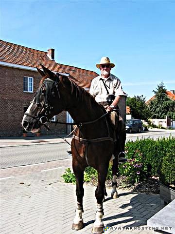 avatarity umbrella liability coverage batch image resize  CESAR