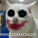 rabbits bugs counter strike source avatar new photo album  Capturadepantalla20120730alas8.25.55p.m.